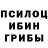 Галлюциногенные грибы Psilocybine cubensis Forensic Jess