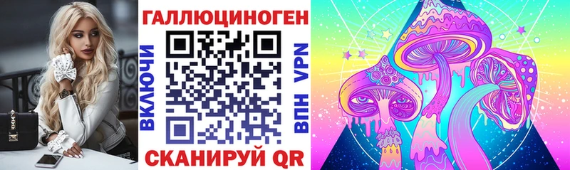 где купить наркоту  Новый Оскол  ОМГ ОМГ tor  Псилоцибиновые грибы Psilocybine cubensis 