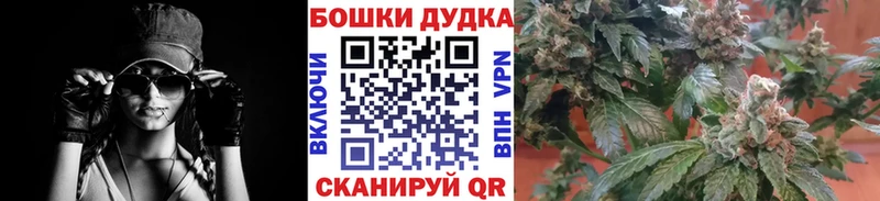 как найти наркотики  Новый Оскол  Марихуана SATIVA & INDICA 